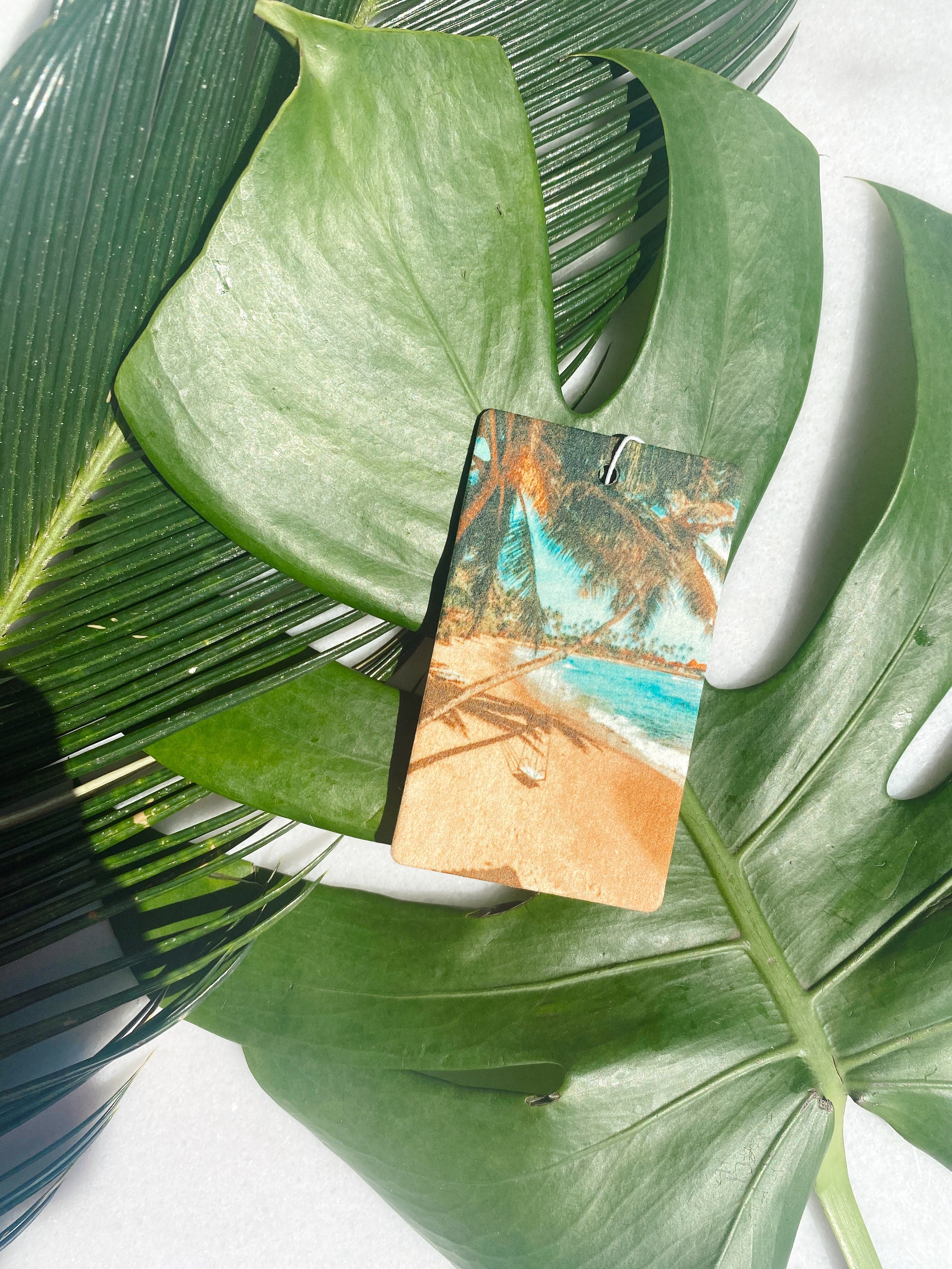 Girls just wanna have sun car freshener